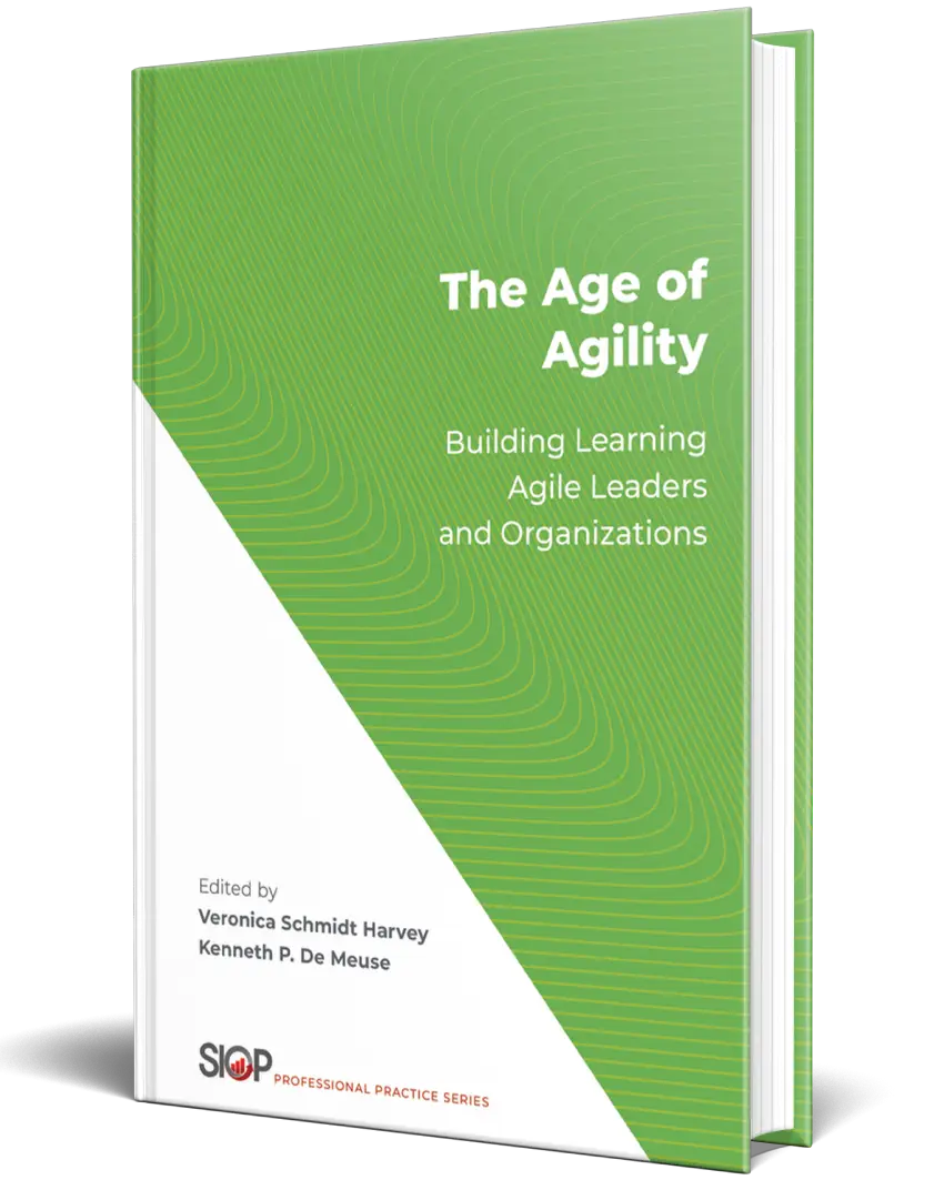 A book cover with the title of the age of agility.